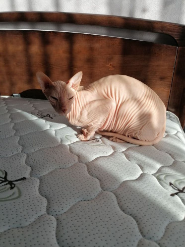 Наши работы Наши работы